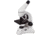 Rainbow Series 64-1280x 50L PLUS Microscope,Moonstone