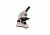 Meiji Techno MT-10 LED Monocular Entry Level Compound Microscope, White MT-10