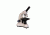 Meiji Techno MT-11 LED Monocular Entry Level Compound Microscope, White MT-11