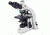 Motic Instruments Ba310 Binoc Compound Upright 100100401291, Unit EA