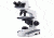 Motic Instruments Digital Microscope DMB1-223ASC DB67.211.101