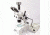Unico ZM188 Microscope BINOCULAR WF15X 0.7X-4.5X DPT stand w/top illum. Port and Diascopic Base ZM188