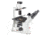 UNICO C-Mount Camera Adapter for IV950 Trinocular Models