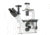UNICO C-Mount Camera Adapter for IV950 Trinocular Models