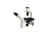UNICO Cross-Hair Reticle with 0.1 mm scale