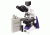 Unico G395-LED Microscope Binocular WF10X 4, 10Pl-Ph, 40Pl-Ph, 100Pl-Ph Plan Phase Heated Stage LED Illuminated G395-LED