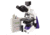 Unico G395PC-LED Microscope Trinocular WF10X 4, 10Pl-Ph, 40Pl-Ph, 100Pl-Ph Plan Phase Heated Stage, plus 5.6 MP Digital Camera &amp; softare, LED Illuminated G395PC-LED