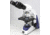 Unico Led Illum Binocular Infinity Microscope G386pl Led Main