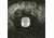 VWR Micro Cover Glasses, Round, No. 1 VWRCIR1-22MM