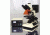 VWR VistaVision Epifluorescent Microscope 11389-214 Vwr Microscope Epiflrscnt Omeg