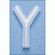 Bel-Art Y Connector 1/4 PK12 F19614-0000