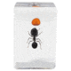 Celestron 3D Bug Specimen Kit #5, Clear, 44425