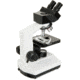 Celestron Labs CB2000C Compound Binocular Microscope,10x,20x Eyepieces,4x,10x,40x,100x Achromatic Objective Lenses 44132