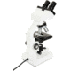Celestron Labs CB2000CF Compound Binocular Microscope,10x,20x Eyepieces,4x,10x,40x,100x Achromatic Objective Lenses 44131