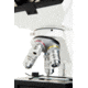 Celestron Labs CB2000CF Compound Binocular Microscope,10x,20x Eyepieces,4x,10x,40x,100x Achromatic Objective Lenses 44131