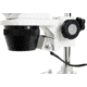 Celestron Labs S10-60 Stereo Microscope,10x,20x Eyepieces,Two Sets of Objective Lenses,1x,3x 44208