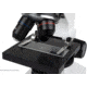 Celestron Microscope Calibration Slides, 44401
