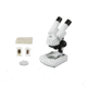 Celestron S20A, Angled Stereo Microscope, White, 44137
