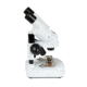 Celestron S20A, Angled Stereo Microscope, White, 44137