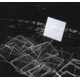 Erie Scientific Cover Glass No 1 22X40MM 3316