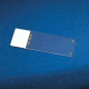 Erie Scientific Superfrost Plus Gold Microscope Slides, Erie Scientific FT-4981I-GL+