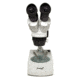 Levenhuk 3ST Microscope, White, Medium 35323