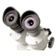 Levenhuk 3ST Microscope, White, Medium 35323