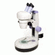 Levenhuk 5ST Microscope, White, Medium 35321