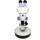 Levenhuk 5ST Microscope, White, Medium 35321