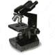 Levenhuk 850B Binocular Microscope, Black, Medium 24611