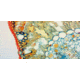 Levenhuk D870T Digital Trinocular Microscope, Black, Medium 40030