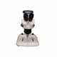 Meiji Techno EM-31 LED Binocular Entry Level Dual 2X/4X Turret Stereo Microscope, White EM-31