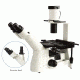 UNICO IV950 Series Inverted Microscope