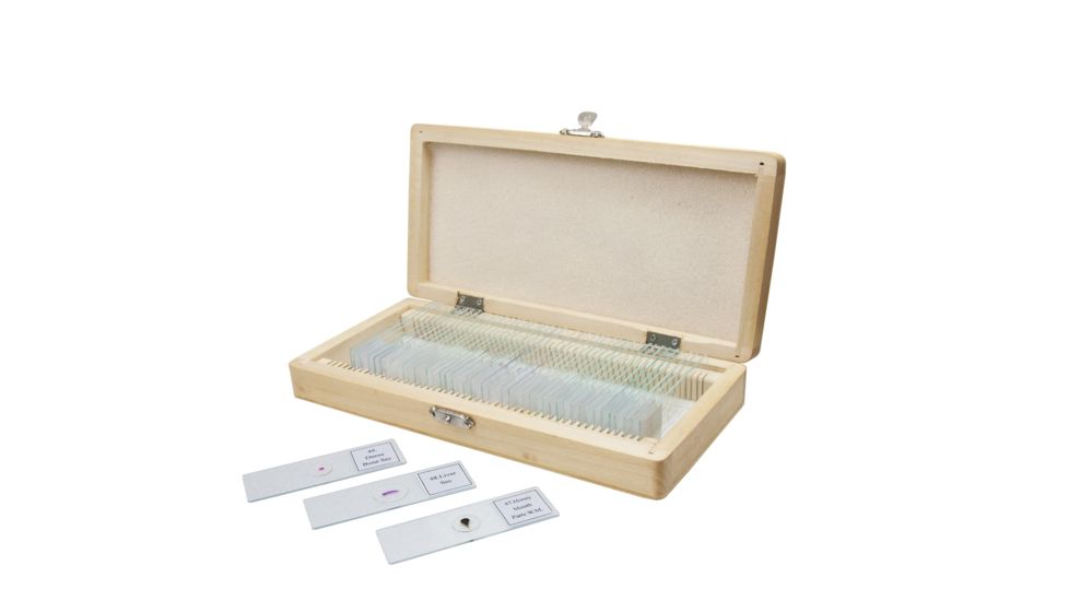 Celestron 50 Piece Prepared Specimen Slide Set 44411