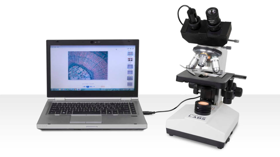 Celestron Labs CB2000CF Compound Binocular Microscope,10x,20x Eyepieces,4x,10x,40x,100x Achromatic Objective Lenses 44131