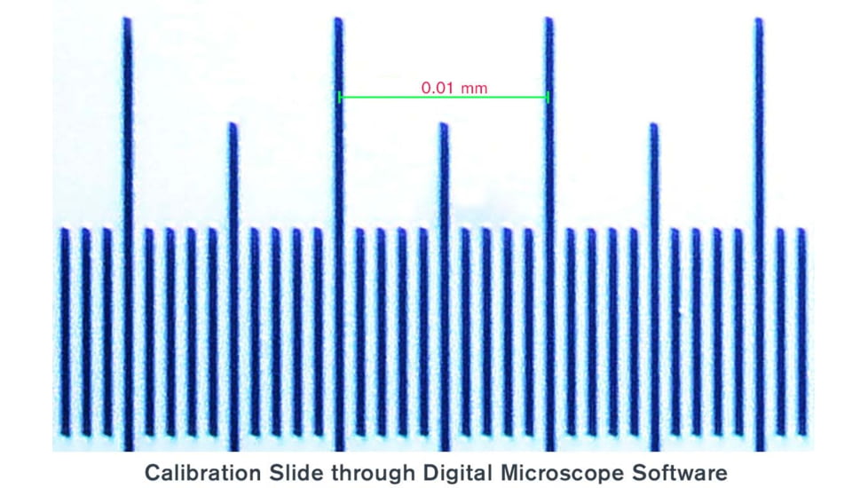 Celestron Microscope Calibration Slides, 44401
