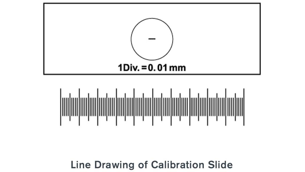 Celestron Microscope Calibration Slides, 44401