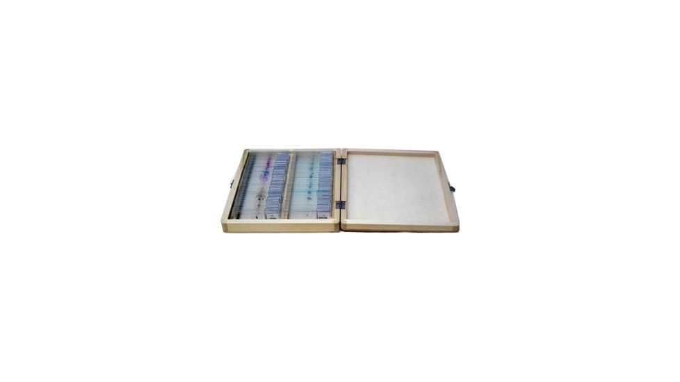 100 Piece Slides Set - 100pc
