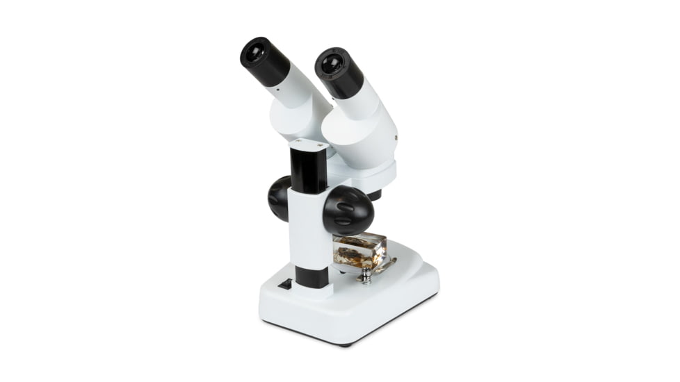 Celestron S20A, Angled Stereo Microscope, White, 44137