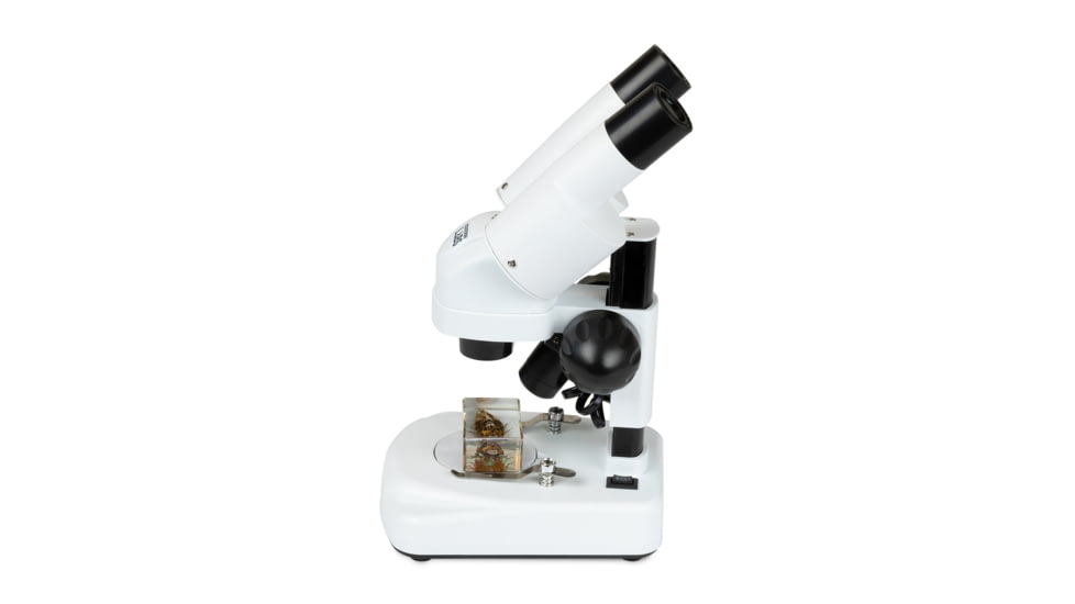 Celestron S20A, Angled Stereo Microscope, White, 44137