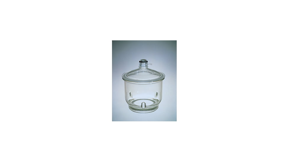 Corning Ring For 25031 CS1 3120-RO
