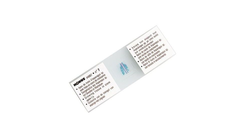 Konus Prepared Slides for Konus Kids Microscopes, Set of 10, Lizard, Snakes and Bird 4856