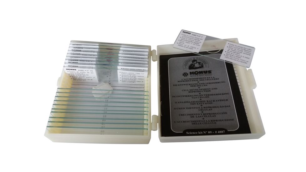 Konus Prepared Slides for Konus Kids Microscopes, Set of 10, Cell Development and Reproduction 4887