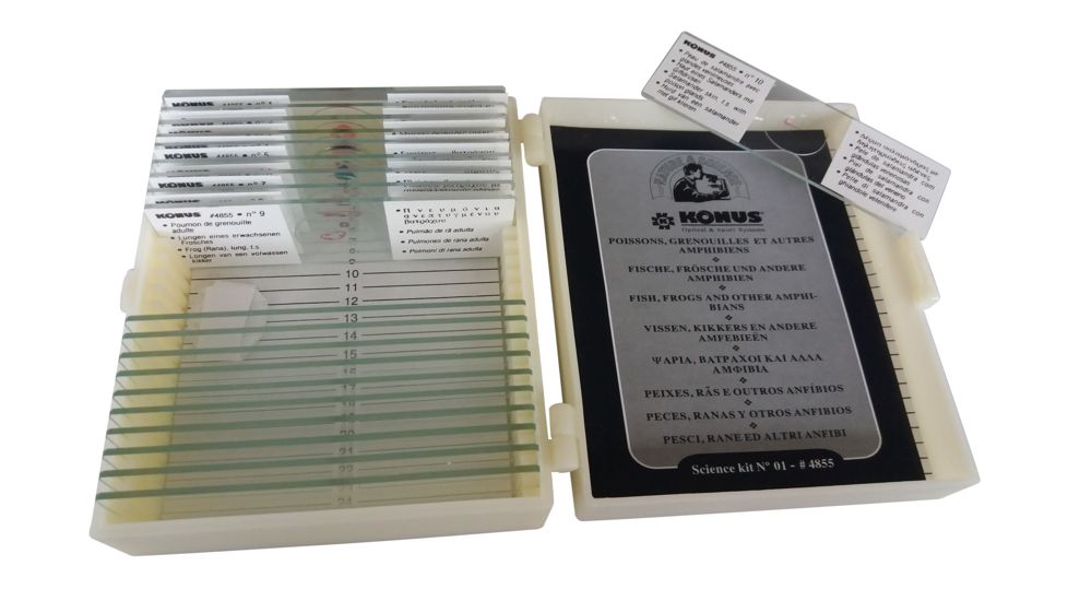 Konus Prepared Slides for Konus Kids Microscopes, Set of 10, Fish, Frogs and Other Amphibians 4855