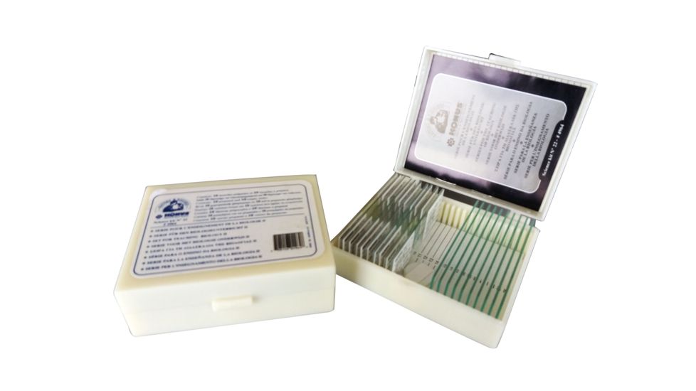 Konus Prepared Slides for Konus Kids Microscopes, Set of 10, Set for Biology Teaching, Part 2 4964