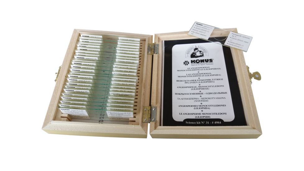 Konus Prepared Slides for Konus Kids Microscopes, Set of 25, Botany, Angiospermae, Monocotyledons, liliopsidae 4984