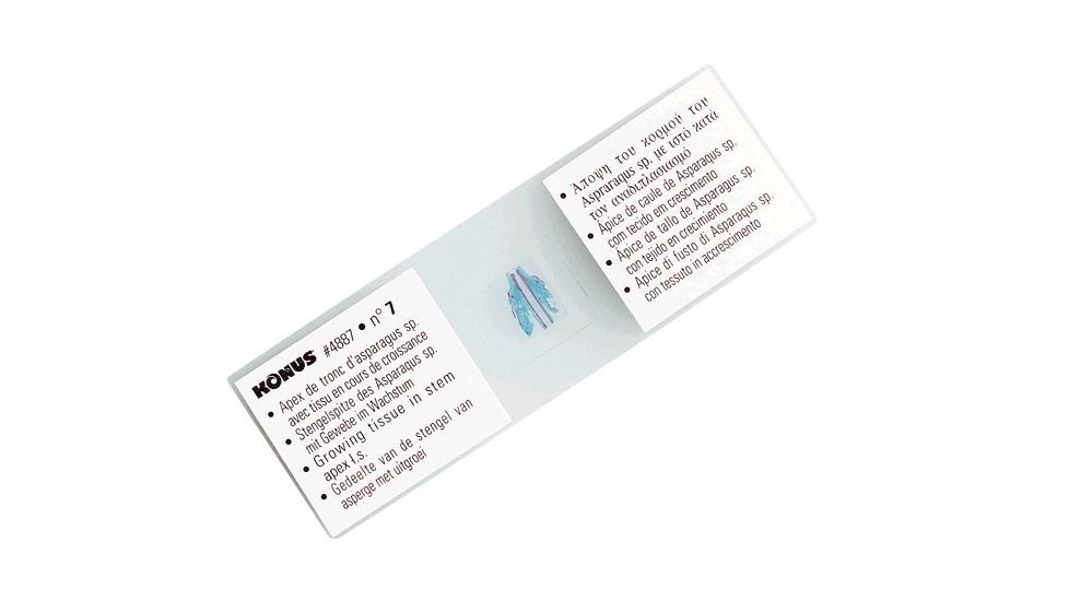 Konus Prepared Slides for Konus Kids Microscopes, Set of 25, Set for Biology Teaching, Part 3 4976