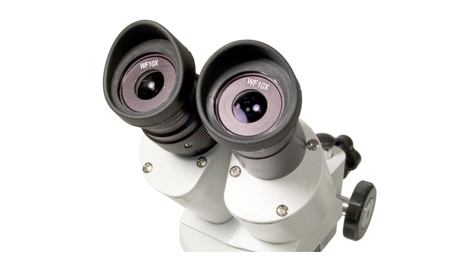Levenhuk 3ST Microscope, White, Medium 35323