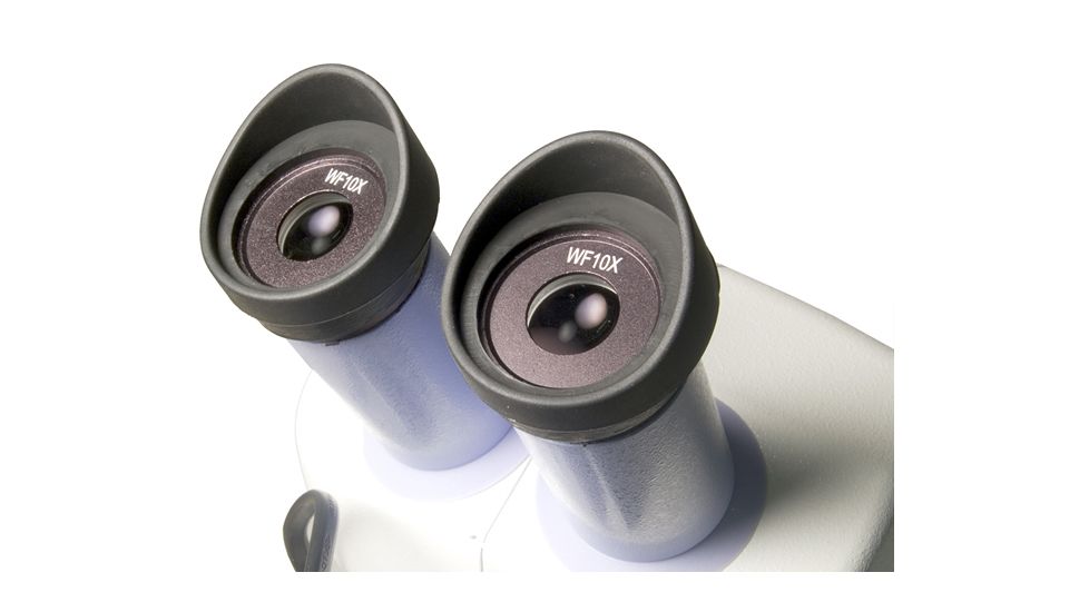 Levenhuk 5ST Microscope, White, Medium 35321