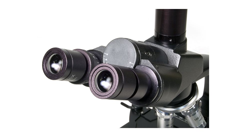 Levenhuk 670T Biological Trinocular Microscope, Black, Medium 35324